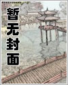 监禁区域levelx